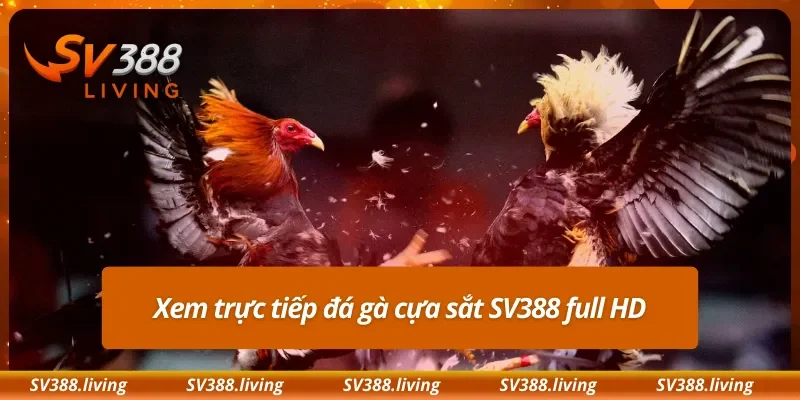 Xem trực tiếp đá gà cựa sắt SV388 full HD